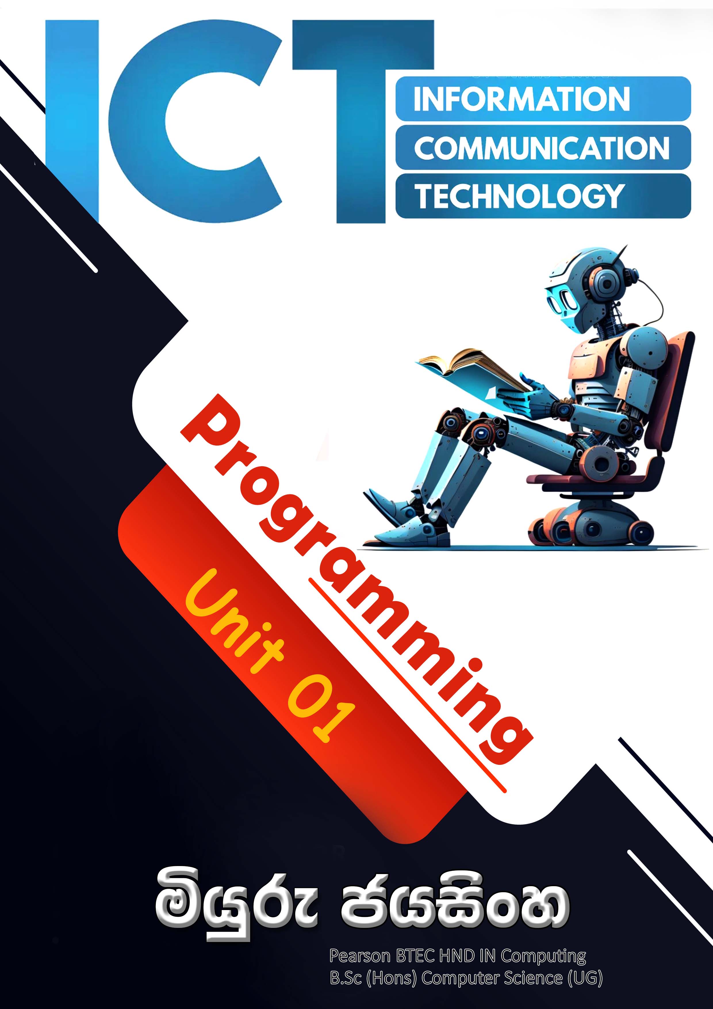 Flyer 3